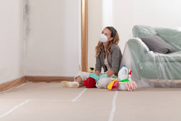 Reliable Mold Remediation contractor in Danvers, IL by WQB Mold Removal